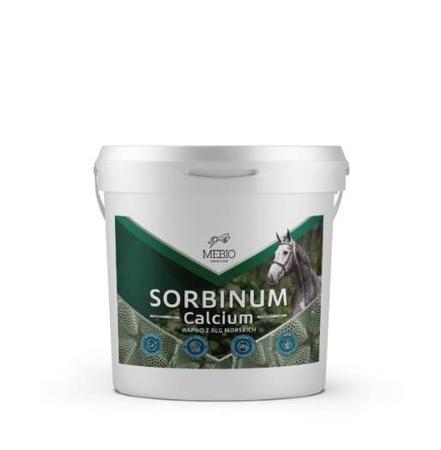 Witaminy CALCIUM SORBINUM 10kg MEBIO
