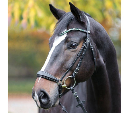 Naczółek Sparkle black/green COB KAVALKADE