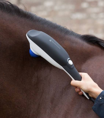 Masażerka Dandy GO RELAX WALDHAUSEN