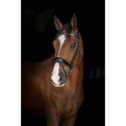 Ogłowie Stuttgart FULL black ERIC THOMAS