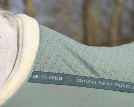 Derka jersey DREAM dusty olive QHP