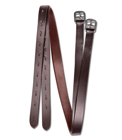 Puśliska STAR WALDHAUSEN kolory