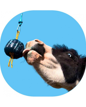 Lizawka Miętowa 600g CANDY BELLS