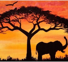 Malowanie po numerach Słoń 40x50cm