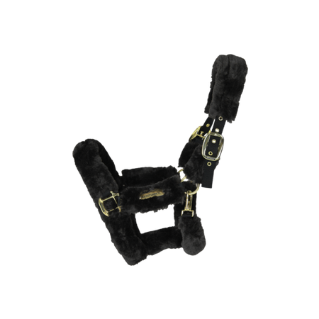 Kantar z futrem SHIPPING black KENTUCKY