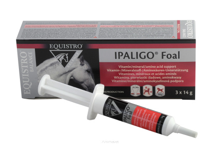 Witaminy dla źrebiąt IPALIGO FOAL 3x14g EQUISTRO