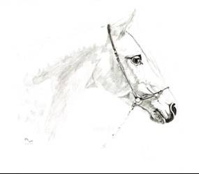 Naklejka rysunkowa wzór 05