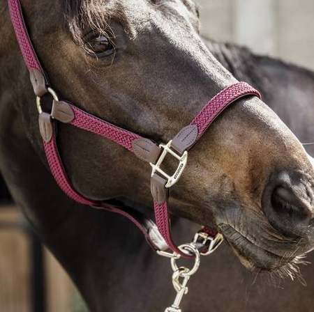 Kantar PLAITED Nylon bordeaux KENTUCKY