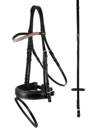 Ogłowie Dijon PREMIERE kolory