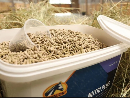 Witaminy NUTRI PLUS 5kg CAVALOR