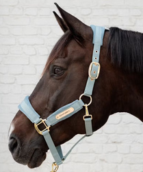 Kantar VELVET light blue KENTUCKY