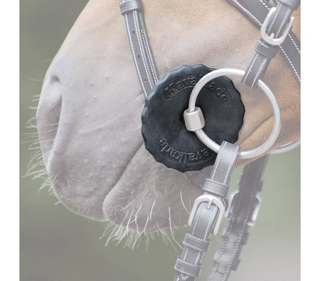 Ślinianki żelowe  KAVALKADE