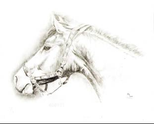 Naklejka rysunkowa wzór 08