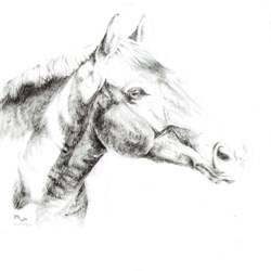 Naklejka rysunkowa wzór 02