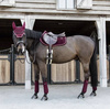 Czaprak VELVET bordeaux VS KENTUCKY