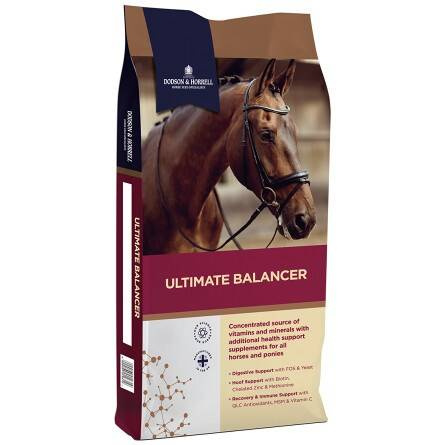 Balancer Ultimate 20kg musli D&H