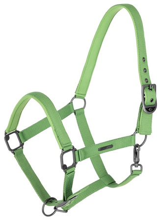 Kantar green COVALLIERO