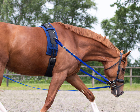 Wypinacze parciane black PONY QHP
