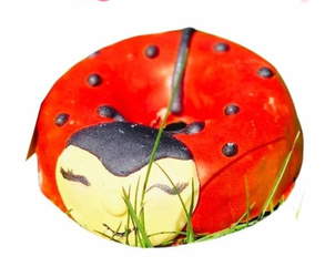 Smakołyki DONAT Biedroneczka KOŃSKA CUKIERENKA