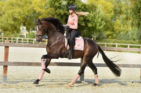 Czaprak ujeżdżeniowy Pink Pearl DL E.STOCKHOLM