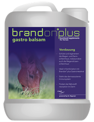 Na wrzody Gastrobalsam 2,5l BRANDON