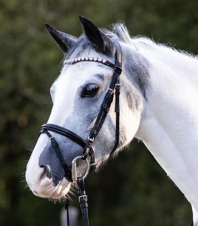 Ogłowie HAPPY HEARTS black WALDHAUSEN