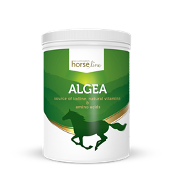 Algi Algea 1,5kg HORSELINEPRO