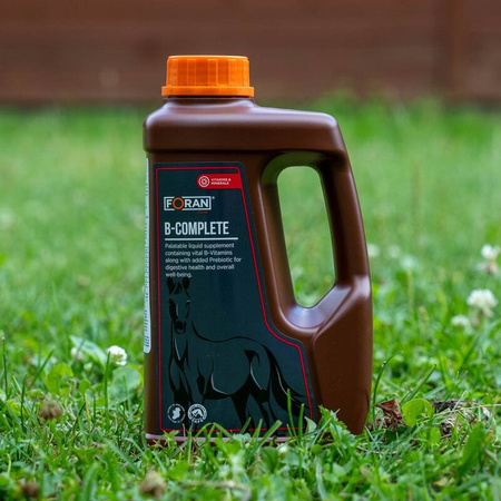Preparat witaminowy B-COMPLETE 2,5l FORAN