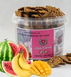 Smaczki tropikalny mix PR-1L KOŃSKA CUKIERENKA