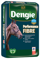 Sieczka Performance Fibre 20kg DENGIE