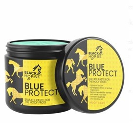 Pasta siarczanowa do strzałek 500ml BLACK HORSE