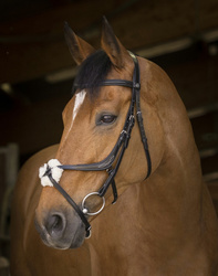 Ogłowie meksykańskie CROSS COB black NORTON