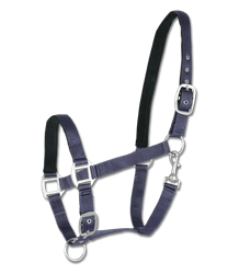 Kantar PerlonSatin WALDHAUSEN KOLORY