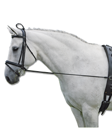 Czambon gumowy black WALDHAUSEN