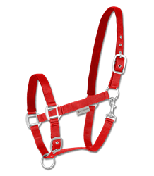 Kantar PerlonSatin WALDHAUSEN KOLORY