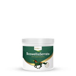 Na układ ruchu Boswellia Serrata 0,5kg HORSELINEPRO