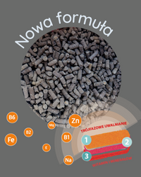 Suplement KIESELGUR MSM/BOSSWELIA /Wit.C 3kg MEBIO