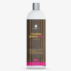 Wcierka Arnica MSM 1000ml PHARMACARE