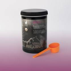 Układ nerwowy Equina REPAX 600g EQUINAVET