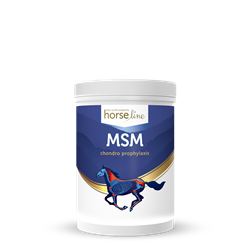 Na układ ruchu MSM 700g HORSELINEPRO