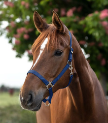 Kantar PerlonSatin petrol bue WALDHAUSEN