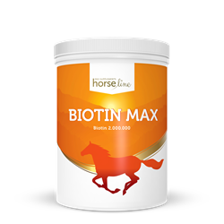 Biotyna Biotin Max 1kg HORSELINEPRO