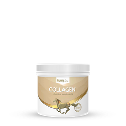 Kolagen 300g HORSELINEPRO