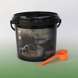 Na drogi oddechowe Equina SECROLIN 800g EQUINAVET
