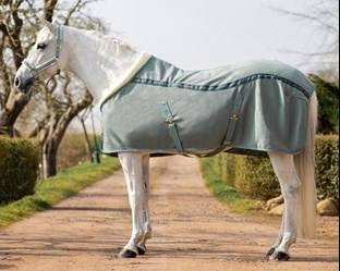 Derka jersey DREAM dusty olive QHP