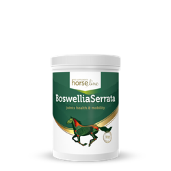 Na układ ruchu Boswellia Serrata 0,9kg HORSELINEPRO