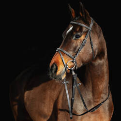 Ogłowie Constance black HORZE