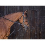 Gogue SHETTY black RIDING WORLD