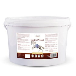 Suplement na wrzody GastroProtect 3kg OVER HORSE