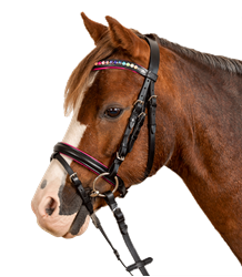 Ogłowie STAR Pinky  WALDHAUSEN